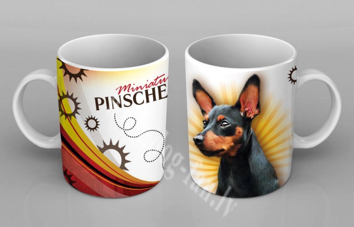 minpinscup copy